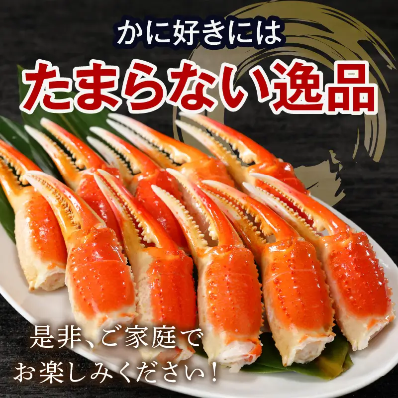 ずわいがに爪(約1kg)【B6-029】