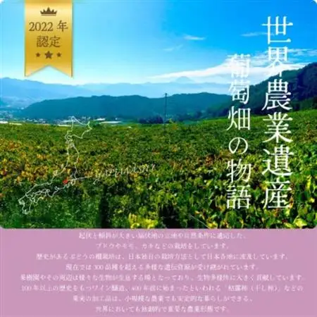 【2026年発送】山梨市 シャインマスカット(約2kg)3～5房入り 化粧箱入り【配送不可地域：離島・沖縄県】【1484816】
