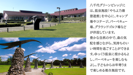 八千代グリーンビレッジ 「 やちよの湯 憩遊館 」 温泉 入浴 回数券 （ 20枚 ） 入浴券 おんせん 入浴チケット 旅行 ふるさと納税 34000円  [AN015ya]