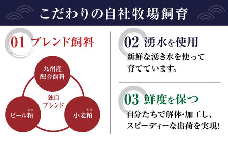 【純国産】熊本の味 「桜」 馬刺し 晩酌セット (赤身・ユッケ) 約250g タレ付【有限会社 九州食肉産業】[ZDQ143]