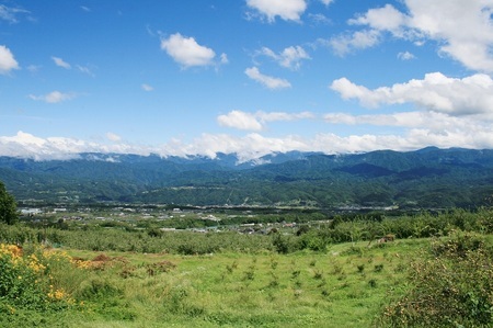 MW12 山葡萄ワイン2種セット（500ml×2本）// 長野県 南信州 山ぶどう 山葡萄 贈答 ギフト 稀少 甘口ワイン 辛口ワイン