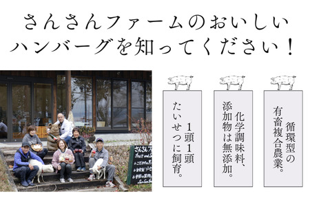 SF04　無添加！さんさん豚ハンバーグセット／(110g×6ヶ入)【化学調味料不使用】//長野県産豚肉 南信州 ポーク バークシャー種 安全 安心 冷凍 贈答 ギフト