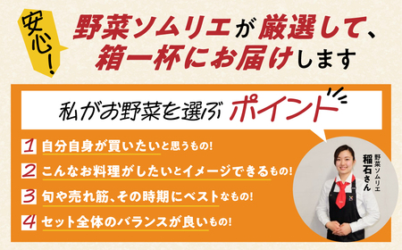 旬の野菜 フルーツ 詰め合わせ ～ 12品 野菜ソムリエ 厳選 野菜セット | メロン いちご トマト アスパラガス トウモロコシ 玉ねぎ 国産 人気 ランキング やさい 野菜 果物 フルーツ 野菜 野菜セット  メロン いちご トマト アスパラガス トウモロコシ 玉ねぎ 国産 人気 ランキング