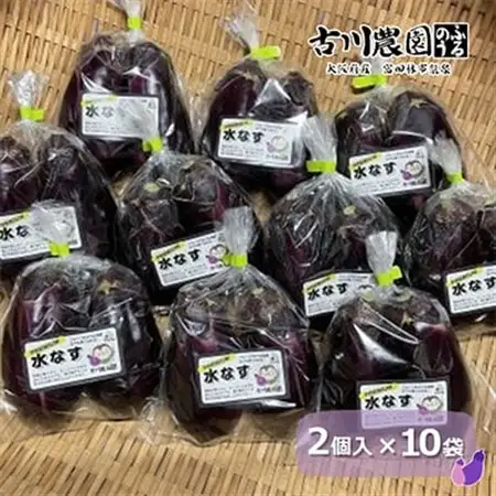 【20本】古川農園　「生水なす」2個入×10袋　そのまま食べられる青果で水なすを産地直送でお届け!_野菜 茄子  なす ナス_【1484515】