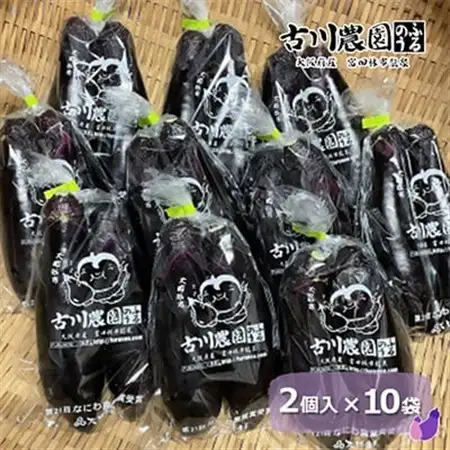 【産地直送】古川農園　「大阪なす」どんな料理にもよく合う万能ナス!2本入×10袋_野菜 茄子  なす ナス_【1484531】