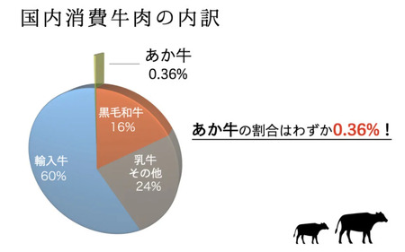 【熊本県産】GＩ認証 くまもとあか牛 特選 すきやき 500g 熊本県産 くまもとあか牛 特選 すき焼き 500g 国産牛 あか牛 赤身 霜降り 牛肉 牛 国産 肉 薄切り すき焼き しゃぶしゃぶ 鍋用 鍋 阿蘇牧場 熊本 南小国町 送料無料
