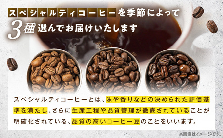 コーヒー 豆 コーヒー[レイドバック珈琲の自家焙煎スペシャルティコーヒーシングルオリジン150g×3種セット(豆)]