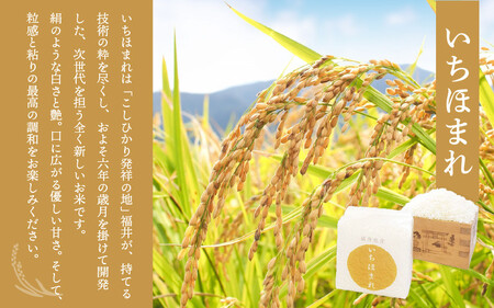 特上鯛めしの素 薬味付き いちほまれ2合キューブ付き [043-a004]