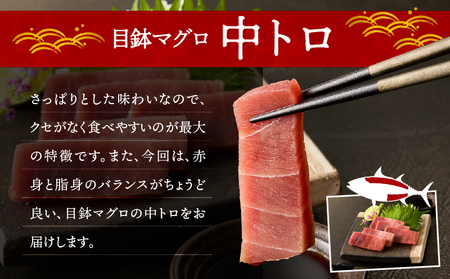 三崎マグロ 鈴木水産 天然マグロ （ 中トロ 3柵 ） セット M105-003 冷凍 マグロ