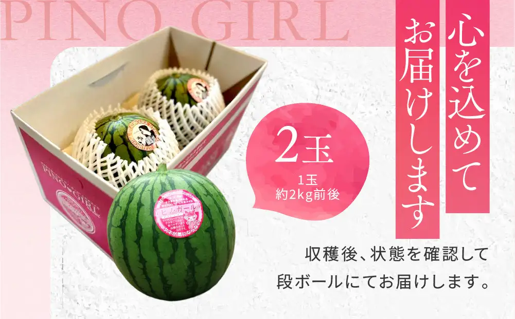 【先行予約】種ごと食べられる！小玉スイカ ピノ・ガール 2玉（1玉2kg前後×2玉）※着日指定不可 ※離島への配送不可 スイカ