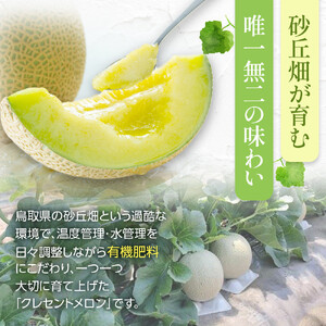 783.【先行予約】青肉メロンの新星「クレセントメロン」満足の２玉セット　※2026年７月中旬より順次発送予定