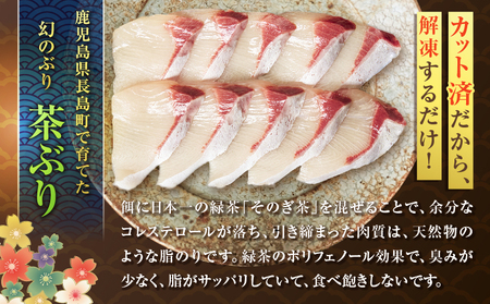 『 黒宝豚 ＆ 茶ぶり切り身 』 どん薩摩の黄金だし しゃぶしゃぶ セット （ 4人前 ） K227-005_01 肉 豚肉 冷凍