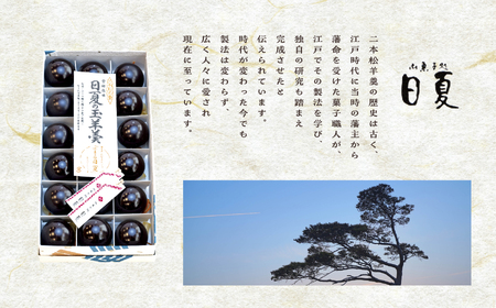羊羹 日夏の玉羊羹 羊羹 和菓子【株式会社菓子処日夏】