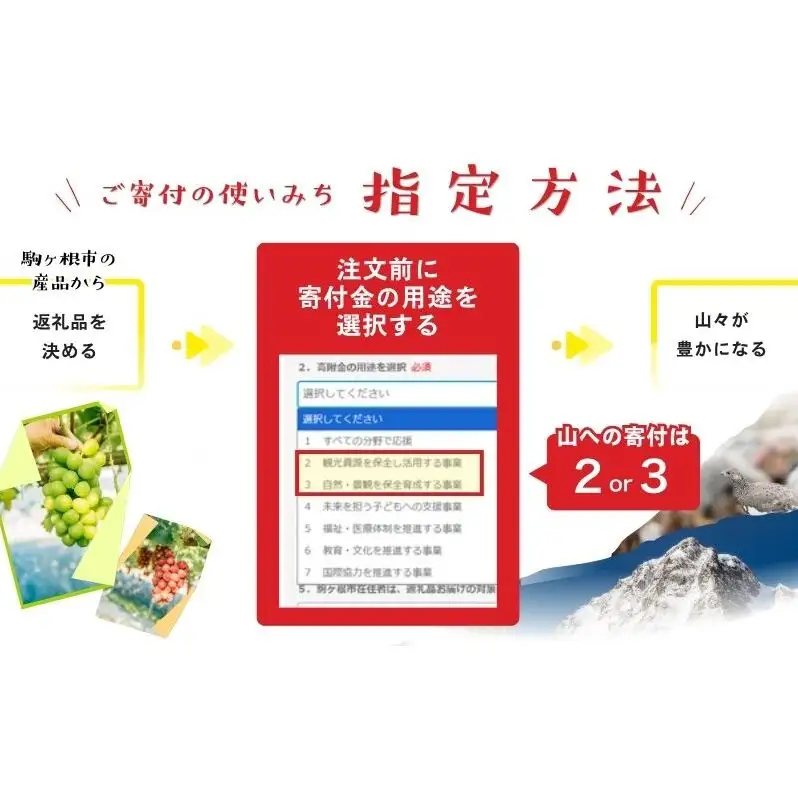 【駒ヶ岳の恵み・朝採り直送】シャインマスカット 約1kg 2～3房 中央アルプス 駒ヶ根産 種なし 皮ごと 山の雫 木曽駒ヶ岳 宝剣岳 千畳敷カール 寒暖差 信州 長野 ぶどう 2026