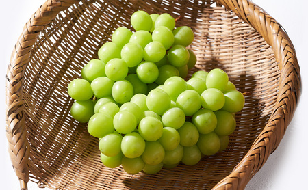 【特選房】シャインマスカット 約1.4kg 2～3房 長野 特選 大粒 ぶどう 種なし 皮ごと 産地直送 フルーツ 果物 デザート おやつ マスカット 葡萄 秋 旬 旬の果物 旬のフルーツ 信州 信州産 長野県 長野県産 2026 2026年