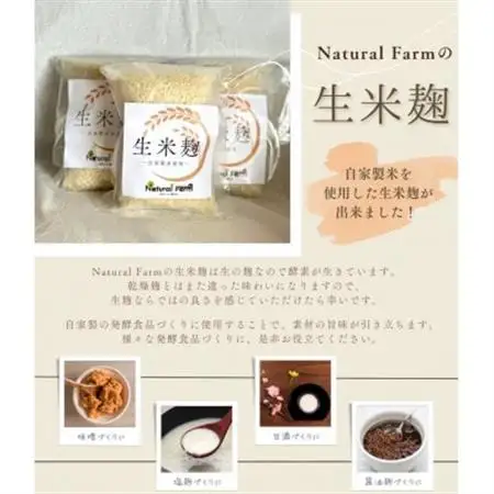 発酵ジェノベーゼソース＆生米麹　A3-9_調味料   _【配送不可地域：離島】【1482024】