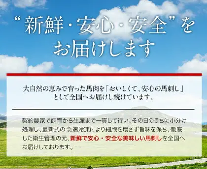 大トロ中トロ馬刺し盛り 600g 桜屋《30日以内に出荷予定(土日祝除く)》熊本県 菊池市 馬刺し 大トロ 中トロ 食べ比べ 馬肉 霜降り