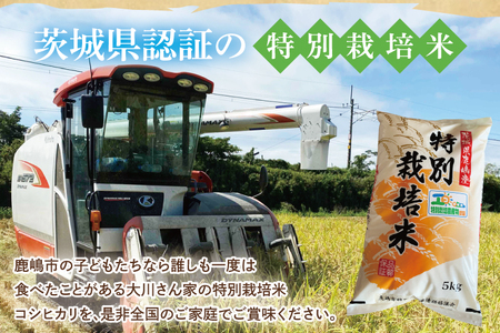 【精米】 こしひかり 5kg 令和7年産 特別栽培米 白米