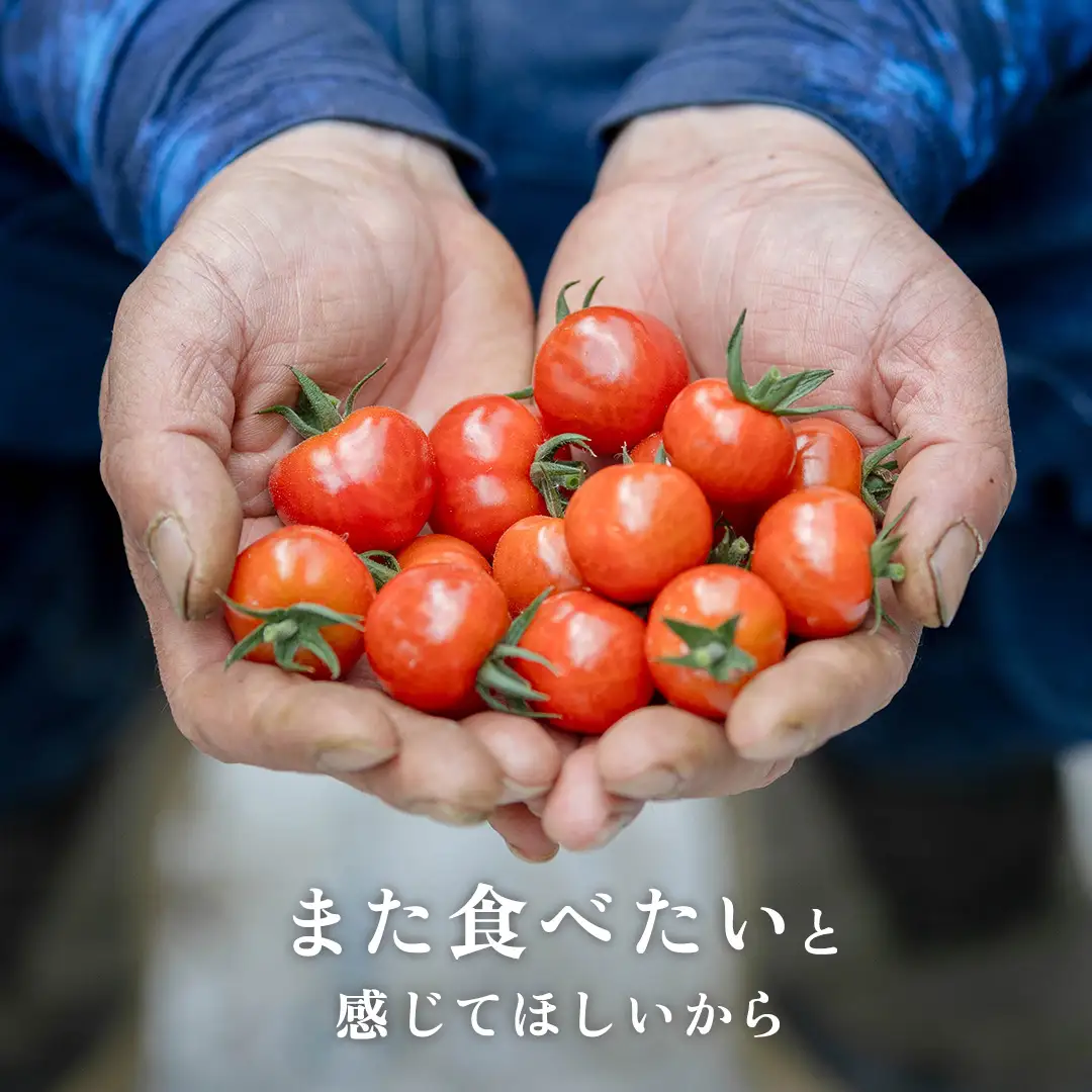 ぜいたくトマト！ 約2kg × 2 合計 約4kg ( 18～24個 ) 