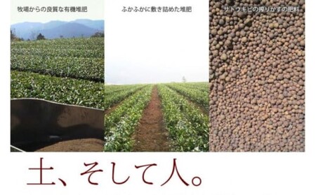 八女茶 奥八女星野村 特別栽培茶 深蒸し 高級煎茶 (深蒸し茶) 100g×2袋 