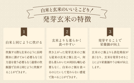 【令和7年産】発芽玄米 特別栽培米 コシヒカリ 3kg 【米 玄米 こしひかり ギャバ GABA 特別栽培 食物繊維 栄養 真空パック ごはん ご飯 おいしい ふるさと納税米】 [A-29101]