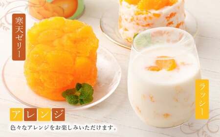 A270 山川みかん缶詰 12缶セット 【2026年1月下旬以降順次発送予定】