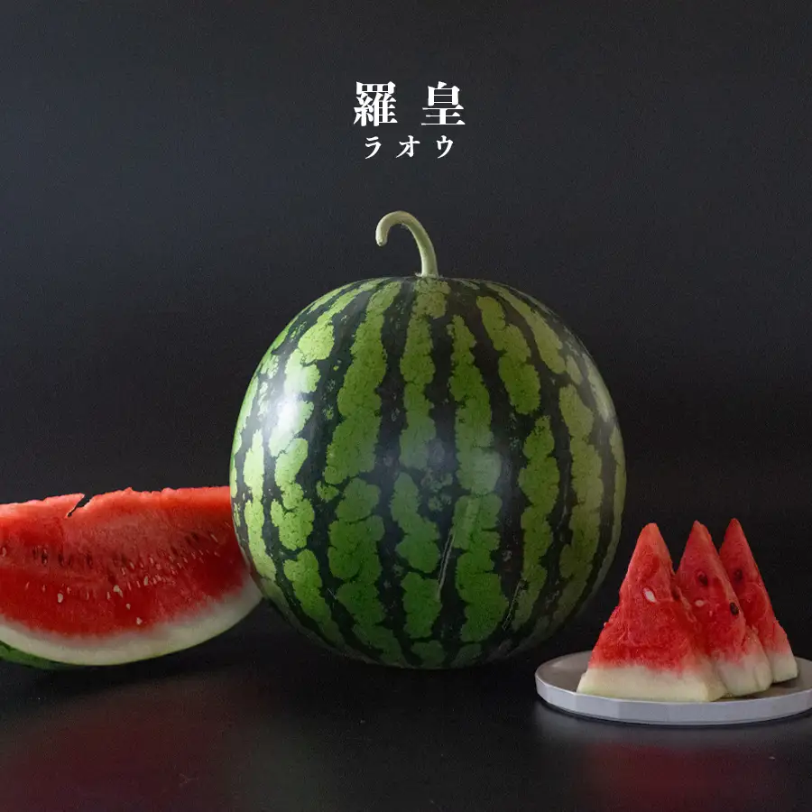 朝採れ すいか 1玉 大玉スイカ （6kg以上） 【先行予約 7月中旬頃より発送】 甘い 果物 野菜