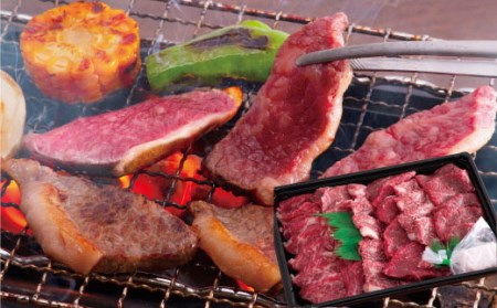 DD-20　牛肉　備前牛（黒毛牛）焼肉セット　500g