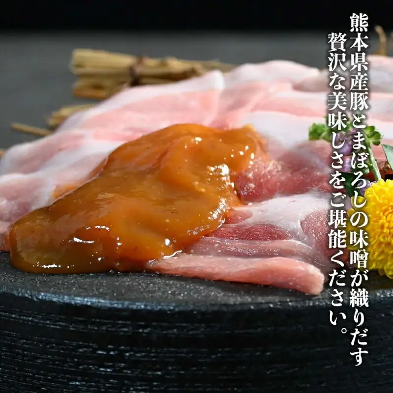 オアシス九州 九州産黒豚（味噌漬け）切り落とし 1.2ｋｇ（小分け） 冷凍 _U117-0022
