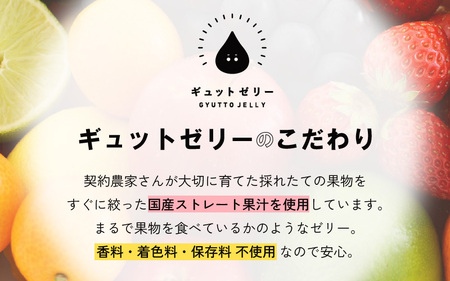 【ゼリー】飲む ゼリー 4種 詰め合わせ 12個入 [m01-a022]