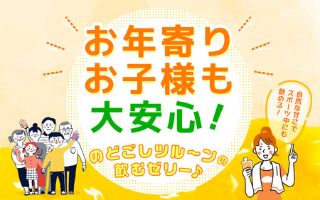 【ゼリー】飲むゼリー 6種  6個入 [m01-a023]