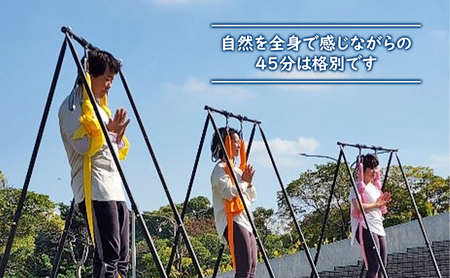 パークエアリアルヨガ 体験チケット 