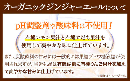 【12ヶ月定期便】 ジンジャーエール  光食品