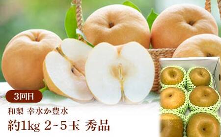 ≪2026年先行予約≫ 全4回 やまがた爽秋フルーツ定期便 FSY-2390