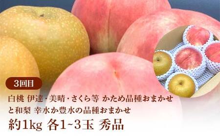 ≪2026年先行予約≫ 全3回 やまがた 真夏のみちのくフルーツ定期便 FSY-2384