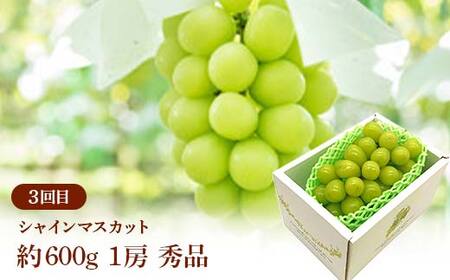 ≪2026年先行予約≫ 全4回 やまがた　食べきりの秋フルーツ定期便 FSY-2392