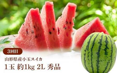 ≪2026年先行予約≫ 全3回 やまがた初夏の果実 定期便 FSY-2373