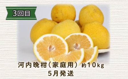 みかん定期便 全3回 陽だまりミカン 家庭用 みかん定期便 B045-050005