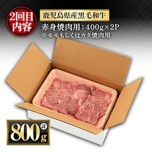 ＜定期便・全3回(連続)＞黒毛和牛の赤身牛肉コース(すき焼き、焼肉、ステーキ)  国産 九州産 鹿児島県産 牛肉 黒毛和牛 和牛 赤身 ステーキ 定期便 頒布会 毎月 すき焼き しゃぶしゃぶ 冷凍【さつま屋産業】_y443-B