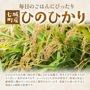 令和7年産 有機JAS 七城産ひのひかり 精米 5kg 渡辺農産熊本県 菊池市 米 お米 精米 ひのひかり 菊池市産 熊本県産 九州産 送料無料《30日以内に出荷予定(土日祝除く)》