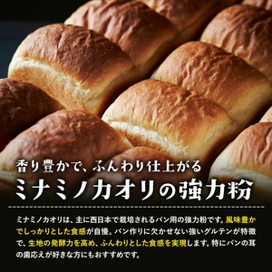 有機JAS小麦使用 強力粉 合計3kg 1kg×3袋 《30日以内に出荷予定(土日祝除く)》熊本県 菊池市 小麦粉 ミナミノカオリ パンづくり 粉類 国産 九州産 熊本県産 送料無料