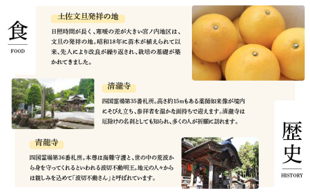 土佐市への寄付 (返礼品はありません) 高知県 土佐市 返礼品なし 1口 1000円  応援 寄付【土佐市役所】 [BQCD001]