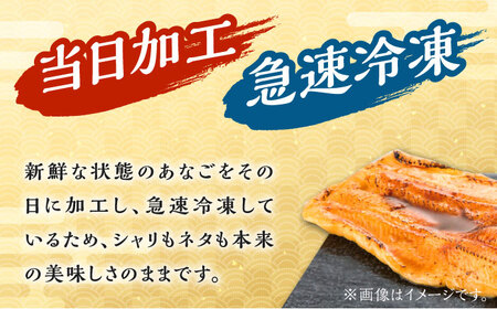 対馬産 西のとろあなご にぎり寿司 3PAC  穴子 すし  [WAV013]