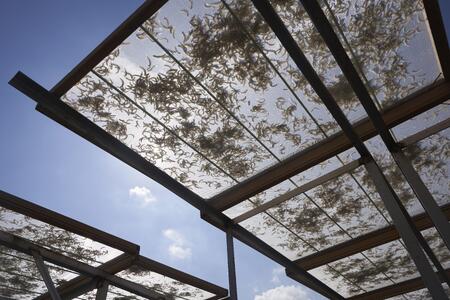天日干し ちりめん180g(30g×6)【ちりめんじゃこ しらす 小分け 便利 お取り寄せ グルメ 香川県 さぬき市】
