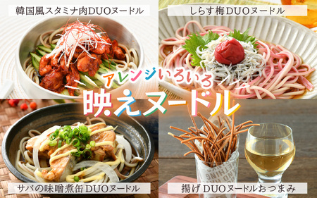 福井県 美浜町産 「DUOヌードル」 9個セット【母の日 父の日 プレゼント お祝い 引き出物 お返し ギフト ハレの日 子供の日 お礼 敬老の日 引越し 七夕 年越し お中元 お歳暮】[m04-a007]