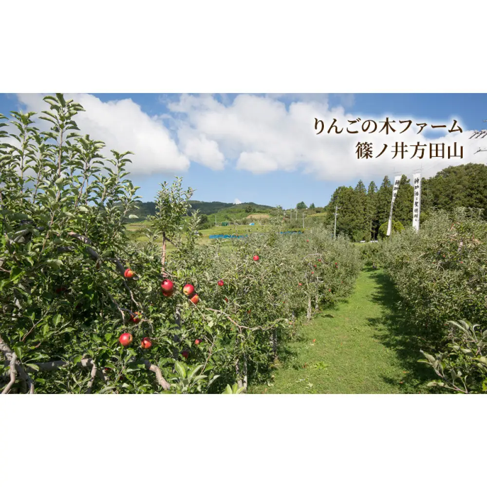 りんごふたいろ　8個入（りんごのお菓子詰め合わせ） スイーツ アップルパイ 焼菓子 おやつ ティータイム |  焼菓子 スイーツ りんごのお菓子 長野県産ふじりんご 人気 おすすめ アップルパイ ガレット 詰め合わせ ギフト おやつ ティータイム 林檎 洋菓子 デザート 長野県 長野市 信州 信濃 ふるさと納税