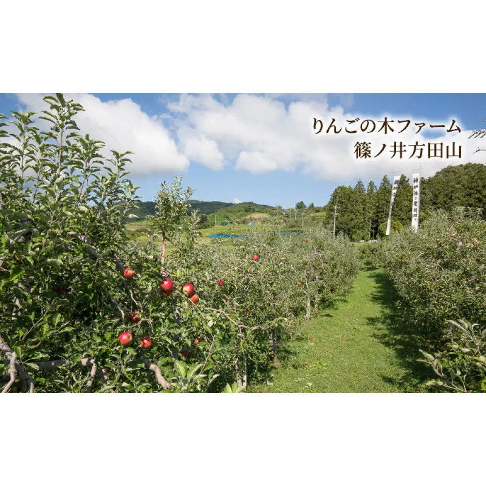 りんごふたいろ 12個入（りんごのお菓子詰め合わせ） スイーツ アップルパイ 焼菓子 おやつ ティータイム |  焼菓子 スイーツ りんごのお菓子 長野県産ふじりんご 人気 おすすめ アップルパイ ガレット 詰め合わせ ギフト おやつ ティータイム 林檎 洋菓子 デザート 長野県 長野市 信州 信濃 ふるさと納税