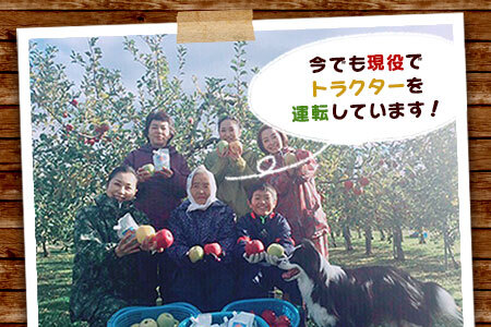 りんご ゼリー 10p 130g×10p 季節限定 葉とらずりんご 葉とらず リンゴ 林檎 産地直送 アップル くだもの 果物 フルーツ 旬 盛岡りんご 旬のりんご 甘い あまい 果実 果汁 おやつ デザート リンゴゼリー 秋 冬 岩手県 盛岡市 岩手 盛岡 有限会社トゥレイス