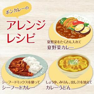 【定期便 全5回】ボンカレーネオ バターのコク(甘口)　30個×5回　計150個