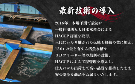 天然とらふぐ刺身セット 5～6人前 ふぐ ID